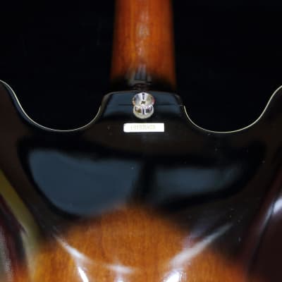 Samick セミアコギター EG1935HS/T 虎目ボディ ハードケース付！ Amazon | SKB エレクトリックギター 335 セミアコタイプ用ハード