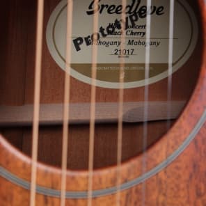 Breedlove USA Concert Black Cherry Acoustic Guitar NAMM w Deluxe Case PROTOTYPE image 4