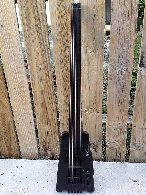 Steinberger fretless store