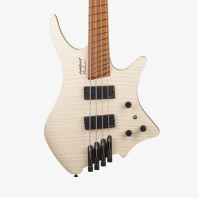 ベース Valiant Guitars TNT-4 WILD FLOWERS new】Valiant Guitars / TNT-4 WILD FLOWERS 4.12kg [Yokohama