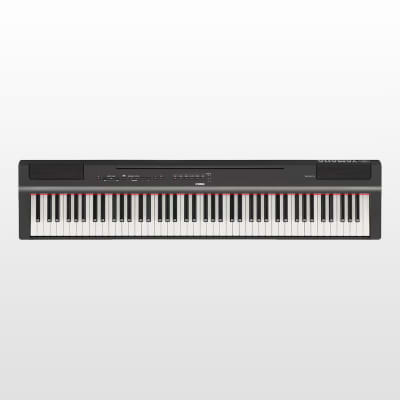 Yamaha P-140S Digitalpiano 2010 Silver/Wood | Reverb Canada