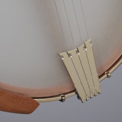 Nechville Atlas Standard 12" Open Back Banjo w/ Short Scale (#2993) image 5