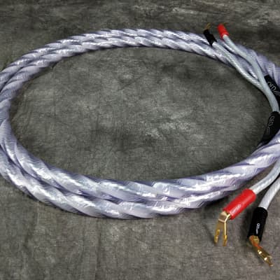 QED Signature Genesis Silver Spiral 2.5M pair Speaker Cable In Mint  Condition | Reverb