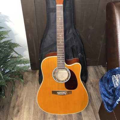 Esteban ALC-200 Master Class Classic Acoustic Electric Guitar With Hardcase for sale