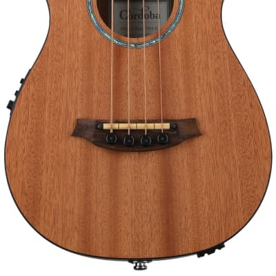 Ovation Applause AE-40 Acoustic Electric Bass Guitar | Reverb