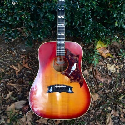 Gibson Dove 1970s - Cherry Sunburst for sale