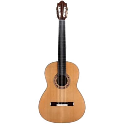 Cordoba Friederich CD PF - Solid Canadian Cedar Top, Solid Rosewood Back & Sides, With Cordoba Humid for sale