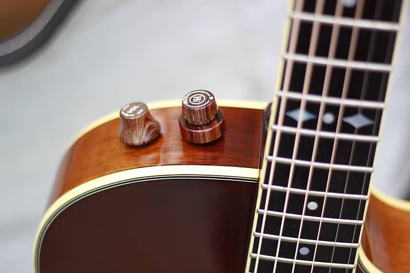 Aria Elecord FE-T65 | Reverb