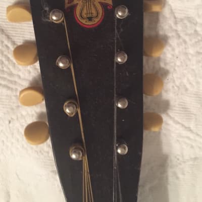 Dobro Mandolin 8 strings 1930 Dark wood/ light trim metal face image 5