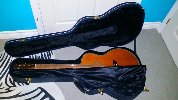 Washburn WG4S