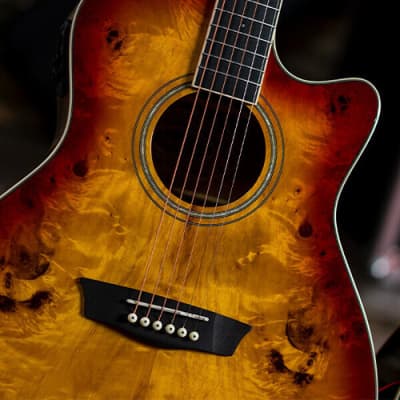 Washburn Deep Forest Burl ACE Acoustic/Electric Guitar - Amber Fade image 3