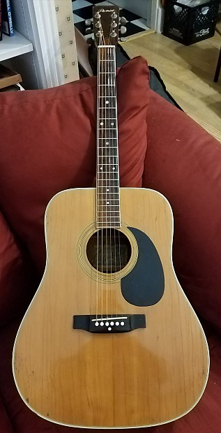 Hoshino gakki stock on sale