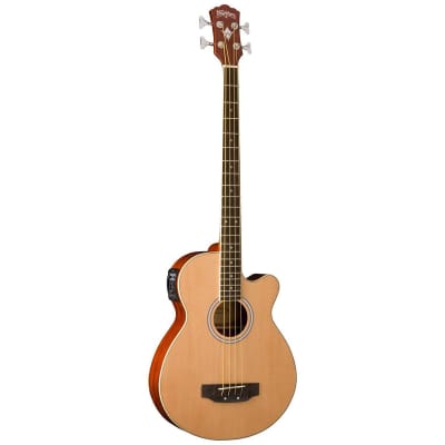 Washburn AB5K-A Acoustic-Electric Bass Guitar image 3
