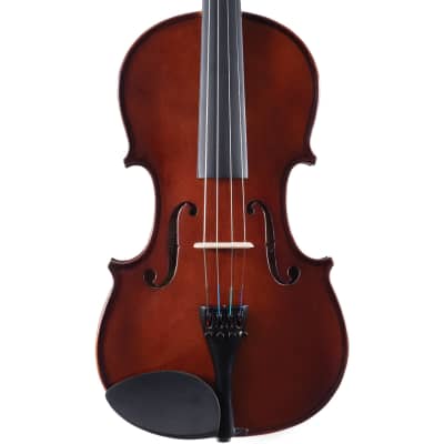 Palatino VN-350 Campus Hand-Carved Violin Outfit with Case and Bow, 1/8 Size image 4
