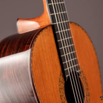 1995 Paris Banchetti Concert Classical, Brazilian Rosewood/Cedar image 24