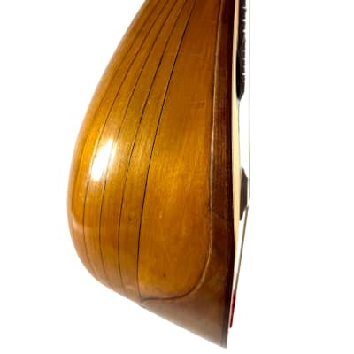 Concert Mandolin Emanuele Egildo N°299 from 1912 image 6