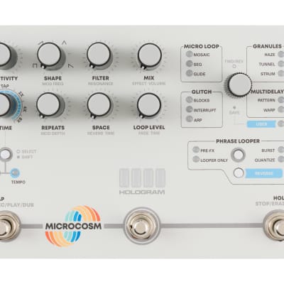 Hologram Electronics Microcosm | Reverb