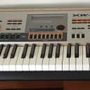 Casio XW-P1. 61-Key Performance Synthesizer  Vintage keys and organ!   (holds tablet and volca keys)