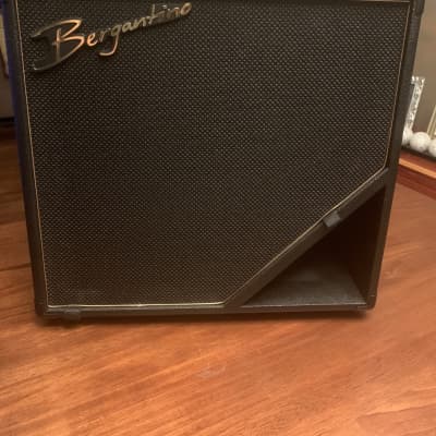 Bergantino REF210 | Reverb