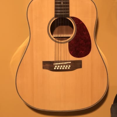 Rogue Fine Instruments 12 String Acoustic image 1