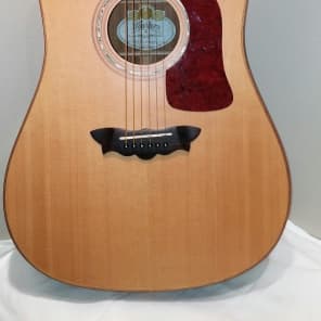 Washburn D52SWCE Timbercraft Cutaway Acoustic-Electric Guitar with Hard Case image 4