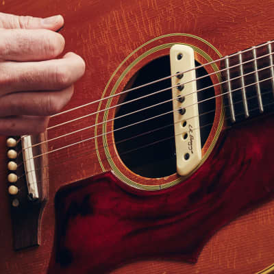 LR Baggs M1 Passive Magnetic Acoustic Guitar Pickup image 2
