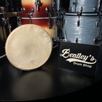 Stern tanning store drum heads