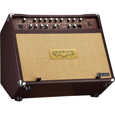 Carlsbro Sherwood 60R Acoustic Amp image 3