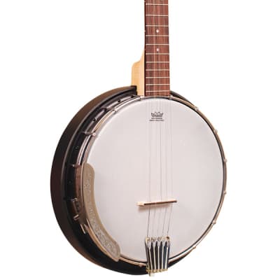 Gold Tone AC-5 Composite Bluegrass Banjo w/ Bag