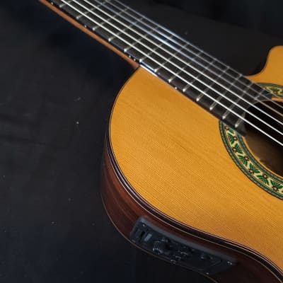 Alhambra 5P-CW-E1 Cutaway Acoustic Electric Classical Guitar w/Gig Bag image 9
