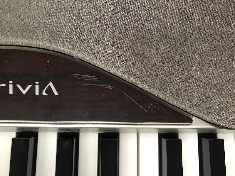 Casio Privia PX-110 88 key Mid 00's Grey/wood accents | Reverb