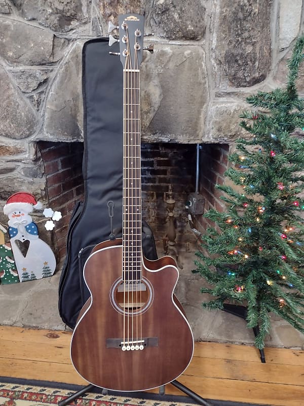 Stadium acoustic 5 string bass w eq walnut reverb