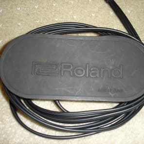 Roland FS-3 Foot Switch | Reverb