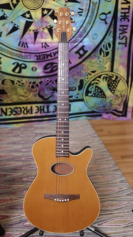 Peavey ecoustic guitar hotsell