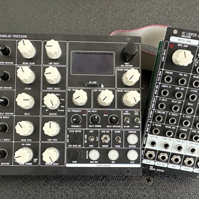 ADDAC System ADDAC112 VC Looper & Granular Processor 2021