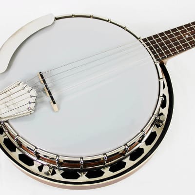 Recording King RK-G25-BR 6 String Banjo 