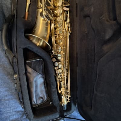 SAX ALTO SELMER REFERENCE DRAGON BI