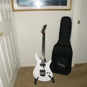 Ken Parker Guitar MaxxFly PDF60 white with original gig bag ready for new home needs nothing to play image 2