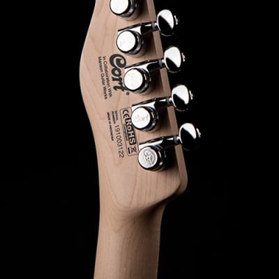 Cort MBM-1 | Matt Bellamy Signature Guitar, Starlight Silver. New with Full Warranty! image 11