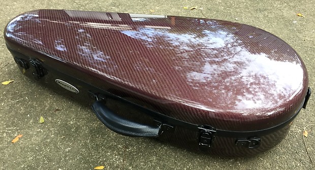 Hoffee mandolin case cheap
