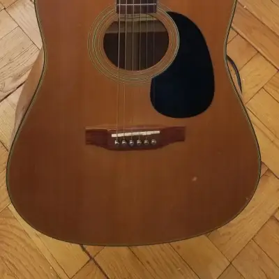 Goya G312 Acoustic Guitar image 1