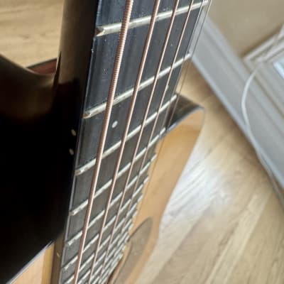 Santa Cruz Model D-PW Custom Cocobolo image 9