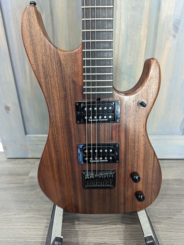 値下げ　Seymour Duncan 【Washburnギター】純正ギグバッグ 値下げ Seymour Duncan 【Washburnギター】純正ギグバッグ