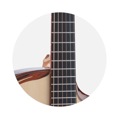 Merida Sadhu cutaway solid Spruce/ rosewood Acoustic guitar image 4