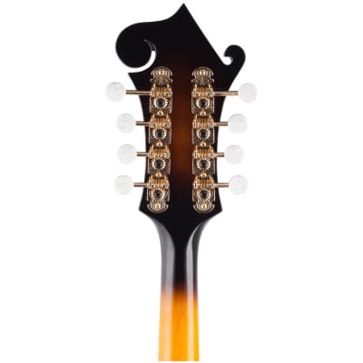 Washburn Florentine Cutaway Mandolin (with Case) image 8