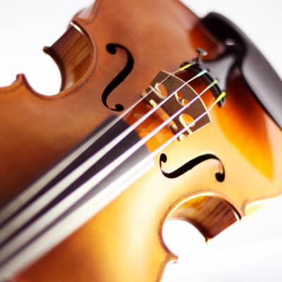 Haddon Brown Violin 4/4 - Sleeping Beauty Stradivari Model image 6