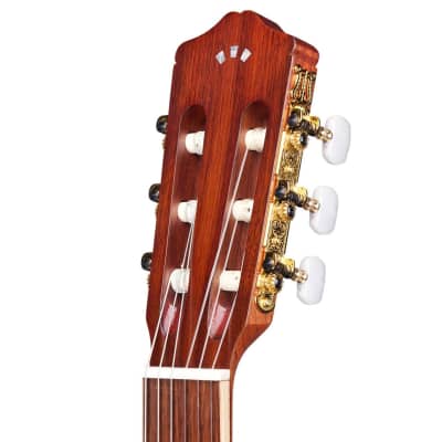 Cordoba C4-CE, Nylon String Acoustic-Electric Guitar – Edgeburst, Guitar Stand, Snark SN5X, ErnieBall P04037 Strap Bundle image 6