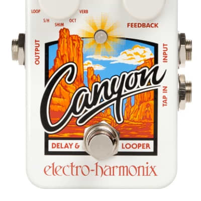 New Electro-Harmonix EHX Canyon Delay and Looper Guitar Pedal! image 2