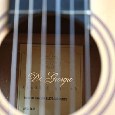DiGiorgio Nylon Guitar 2012 (Fishman) image 10