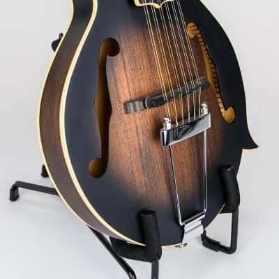 Gold Tone I-F12 Gold Tone F-Style 12-String Mando-Guitar w/ Foam Case image 2